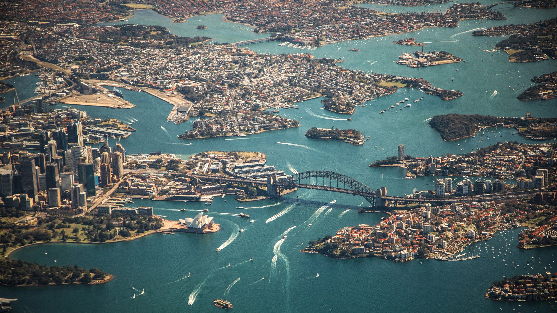 aerial photography of bridge
