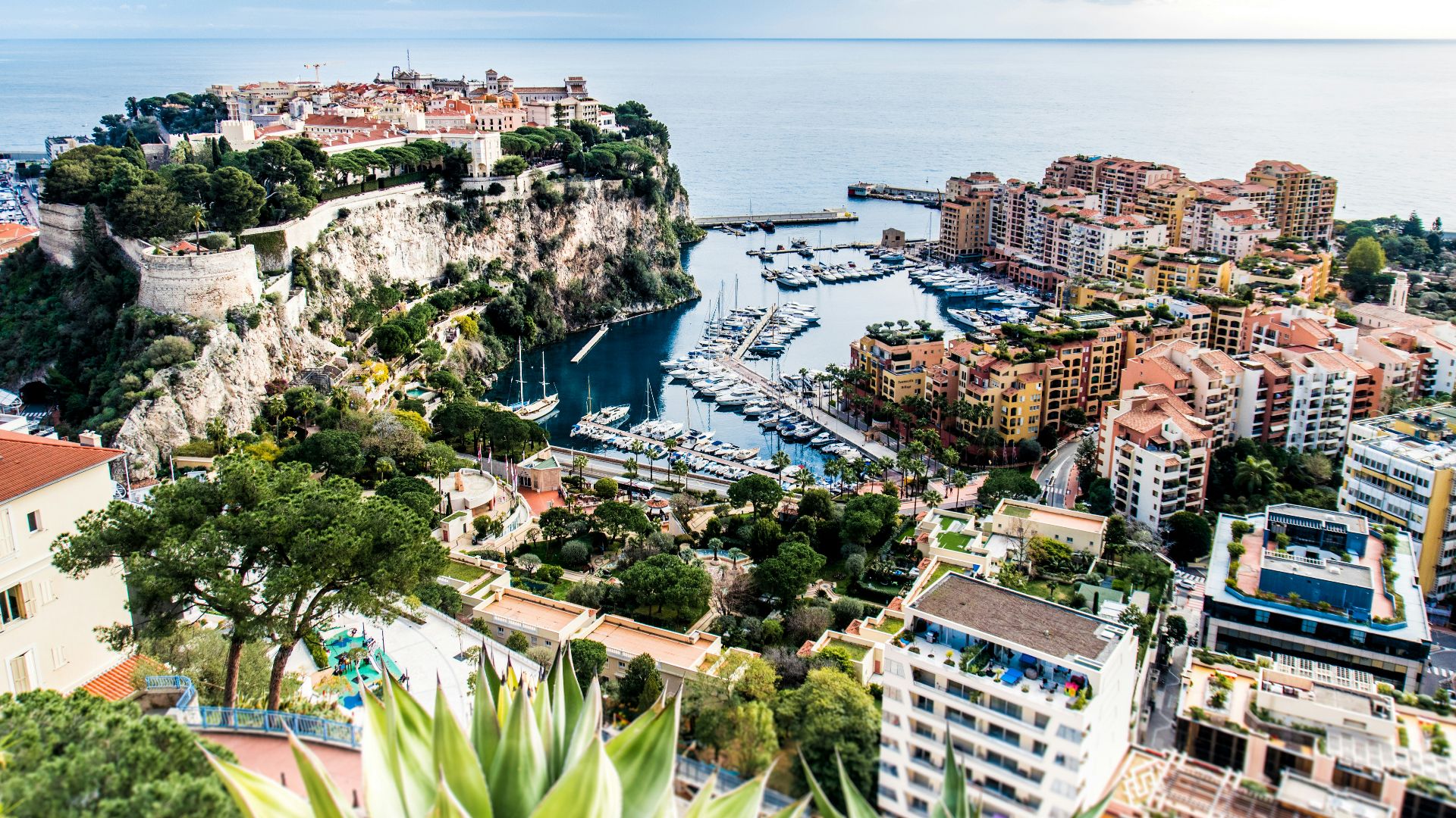 aerial photography of cityscape during daytime