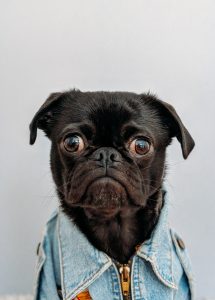 charles-deluvio-550068-unsplash-1-215x300.jpg