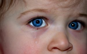 childrens-eyes-1914519-300x187.jpg