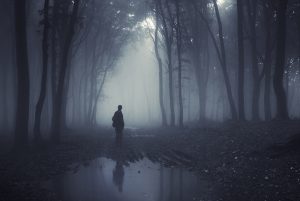 woods-1529346677104-300x201.jpg