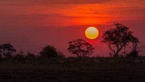 botswana-1653107-300x169.jpg