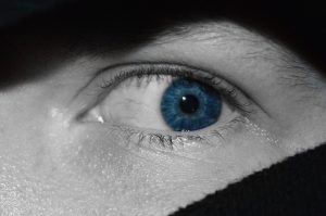 closeup-3497989_960_720-300x199.jpg