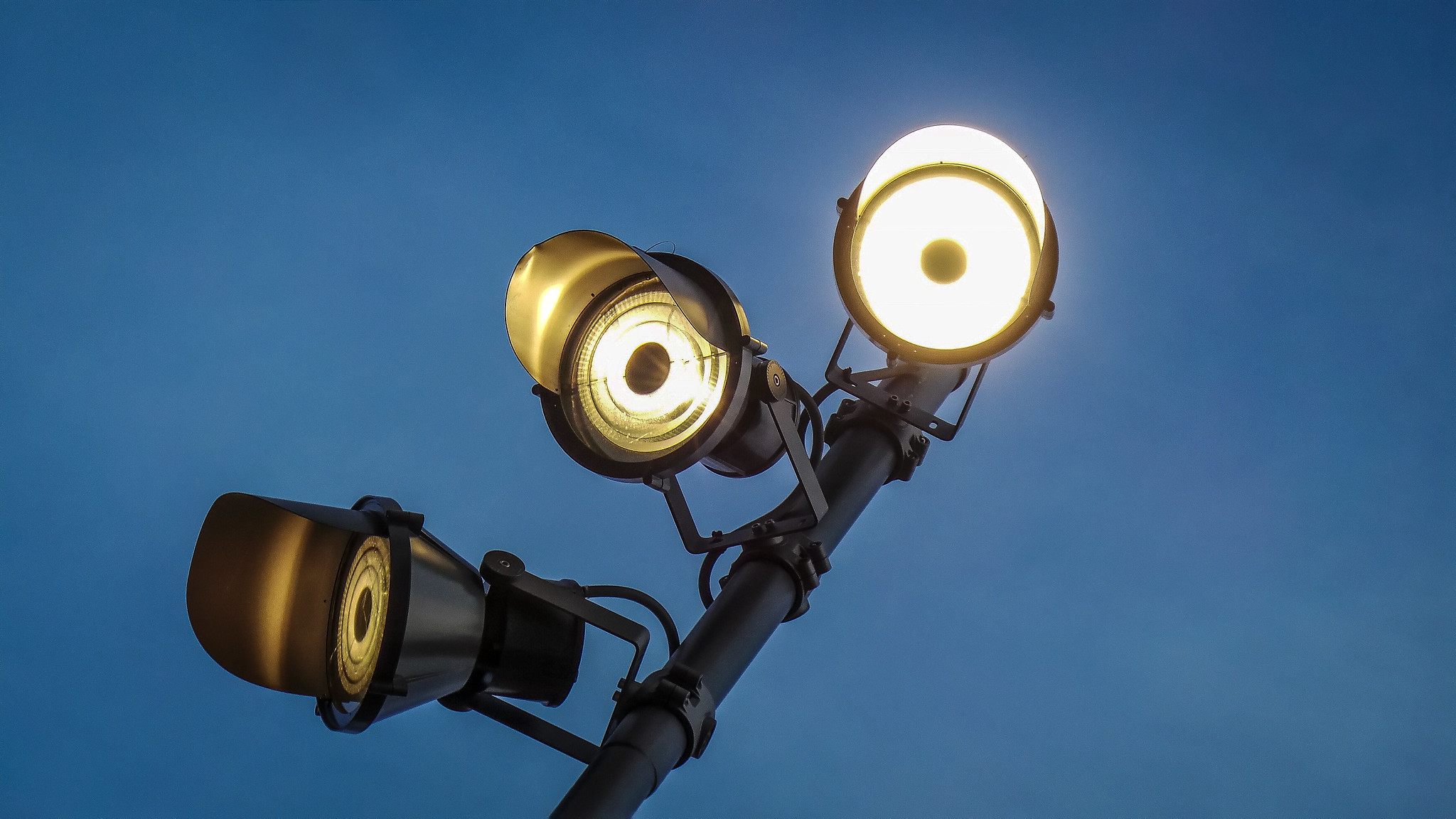 Petty Revenges facts