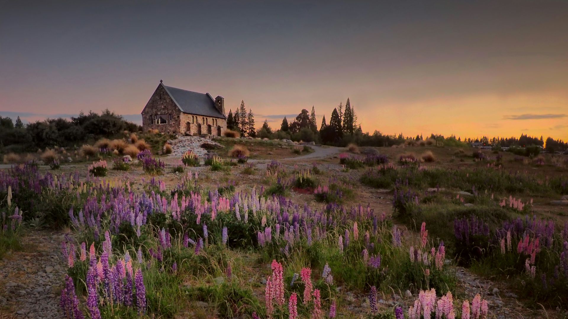 landscape photography of house between flowers