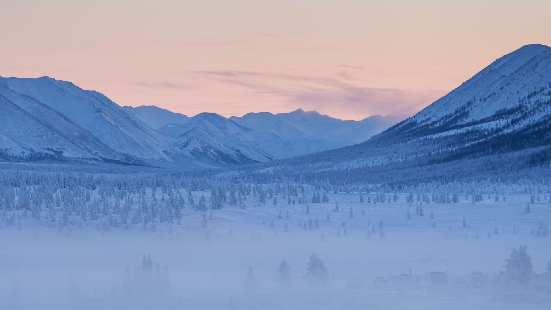 File:Oymyakon forests.jpg