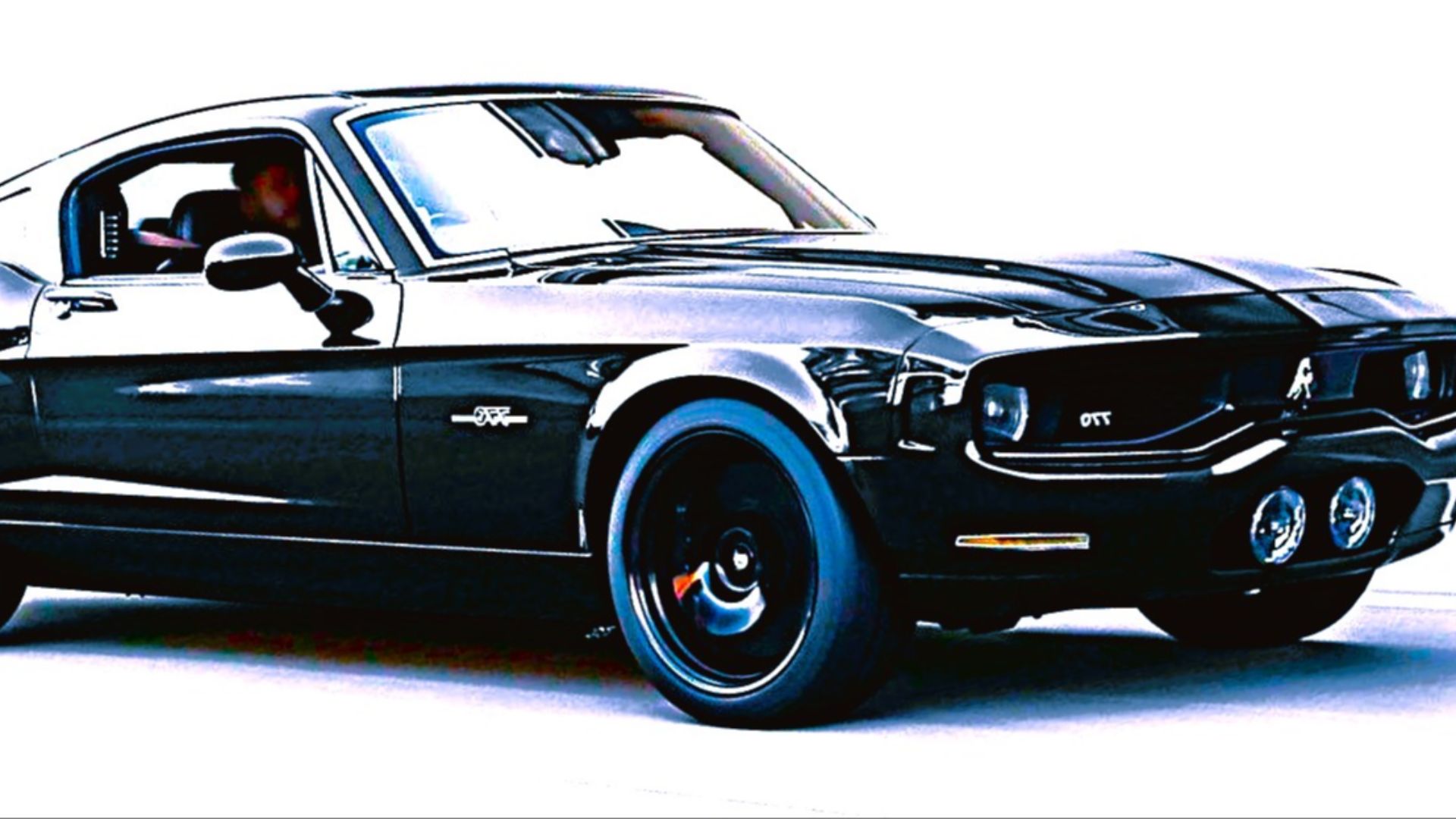 File:EQUUS BASS 770.jpg