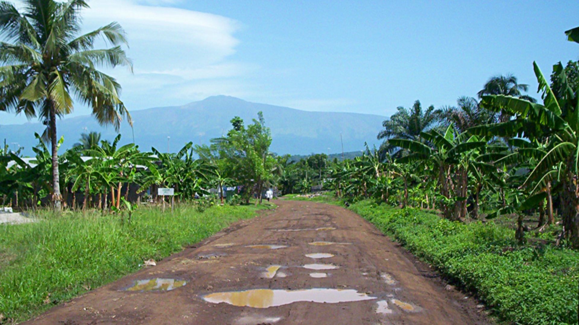 File:Mount Cameroon from Tiko.jpg