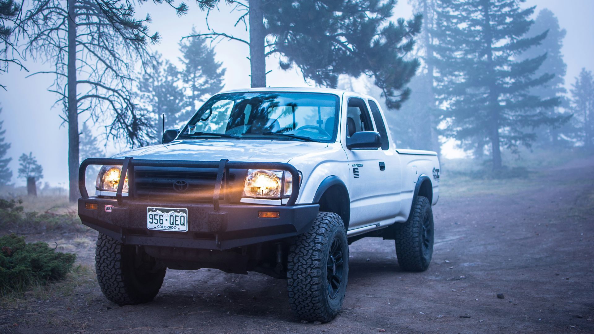white and black Toyota vehicle parked near green trees