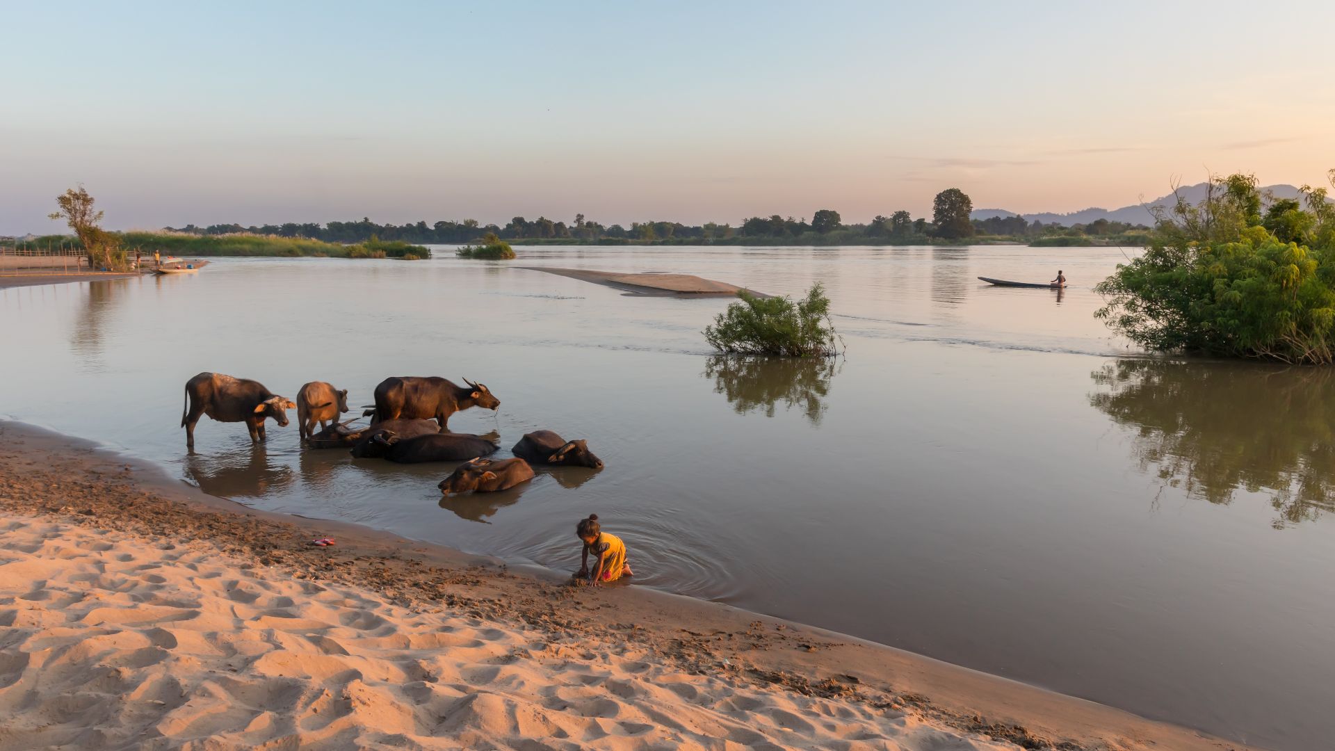 File:Don Puay river bank landscape at sunset.jpg