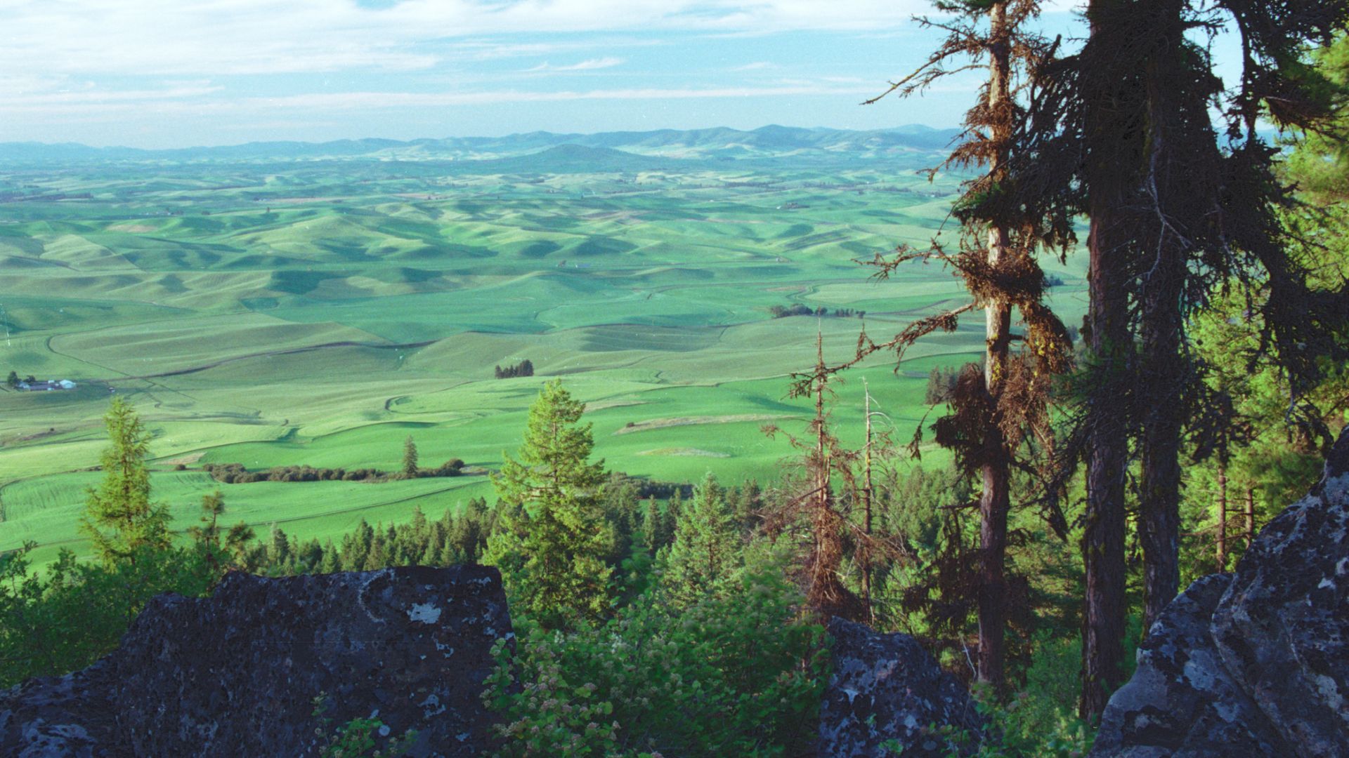 File:Palouse fields from Kamiak Butte 00-08-23.jpg