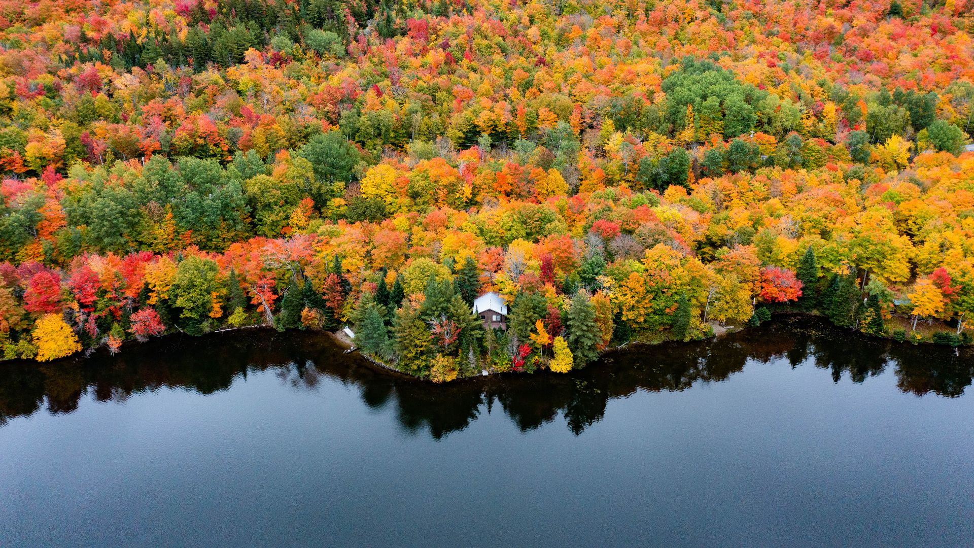 File:Fall Foliage Along Norton Pond Northeast Kingdom Vermont 2021 Season (51585141337).jpg