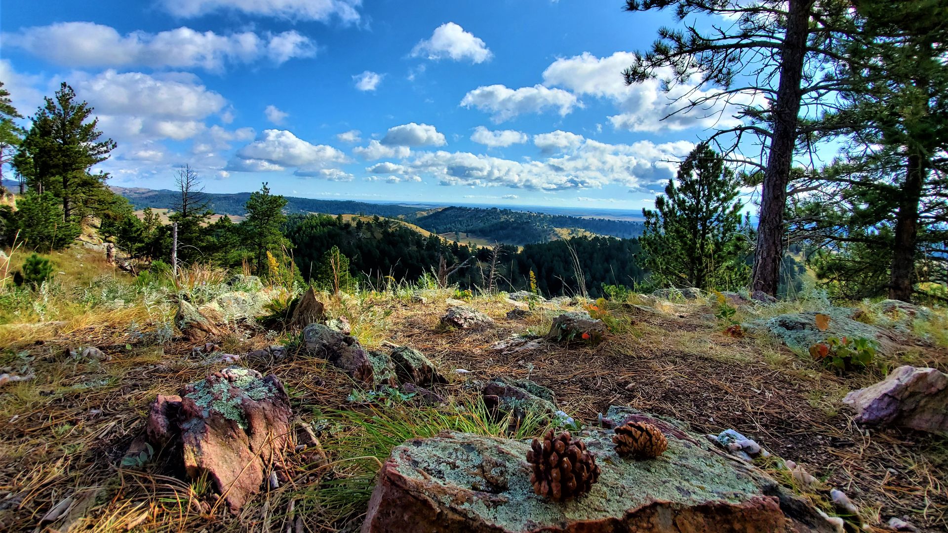 File:Wind Cave National Park, South Dakota - 49545117773.jpg