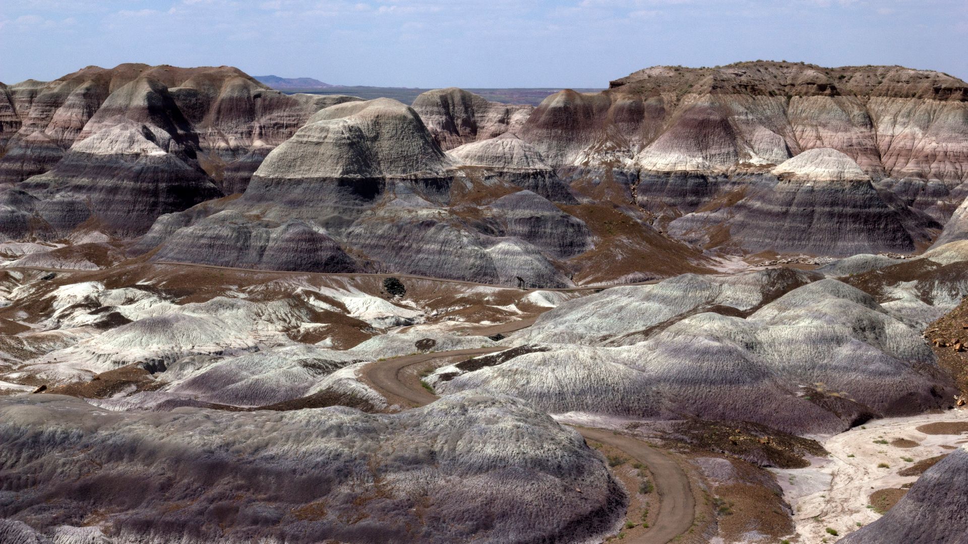 File:Petrified Forest 03.jpg