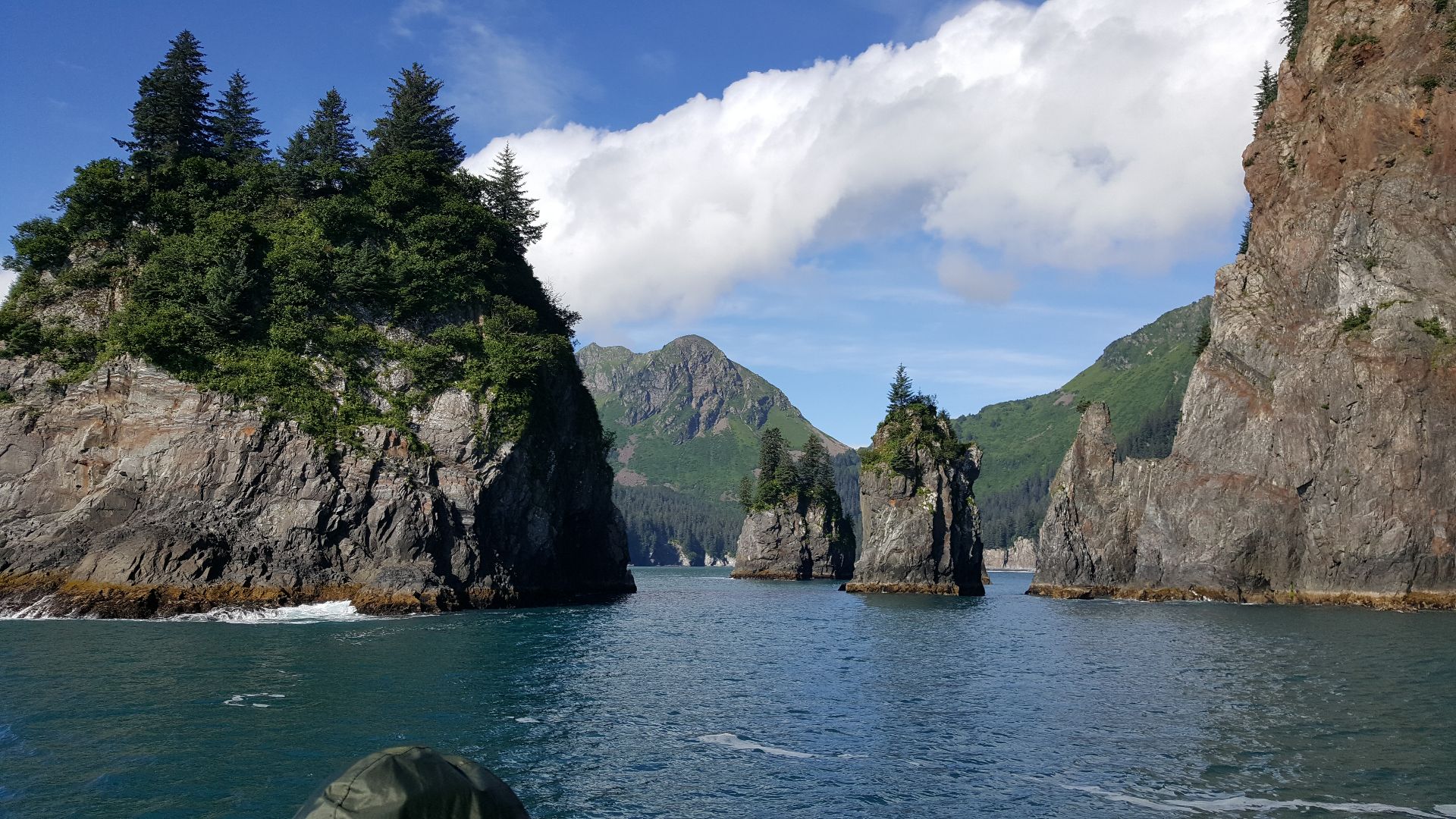 File:By ovedc - Kenai Fjords National Park - 2.jpg