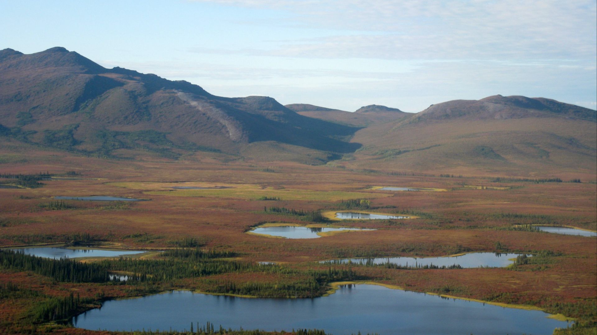 File:Kobuk Bendlova 234.jpg