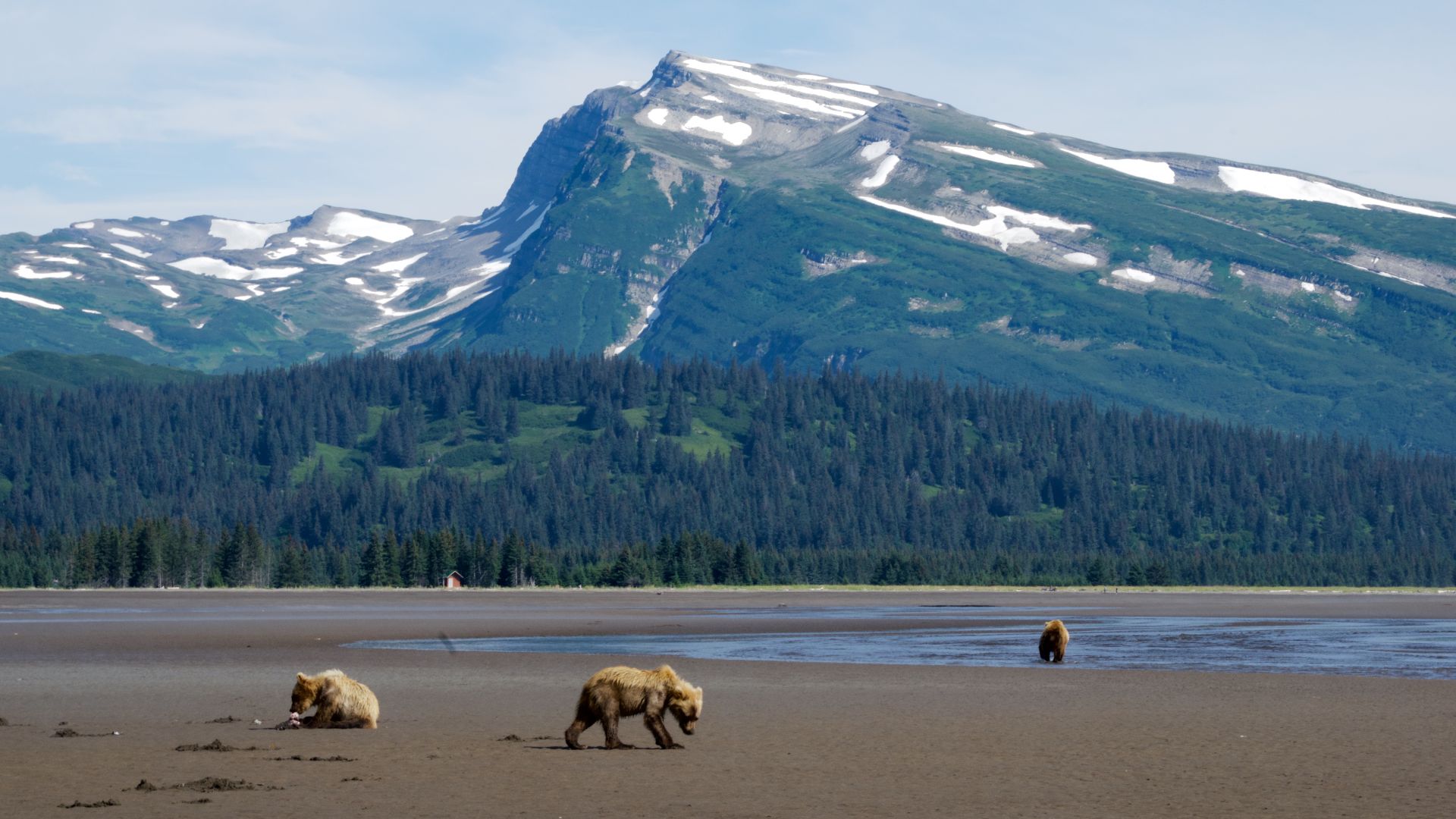 File:Lake Clark National Park and Preserve - 32852214567.jpg