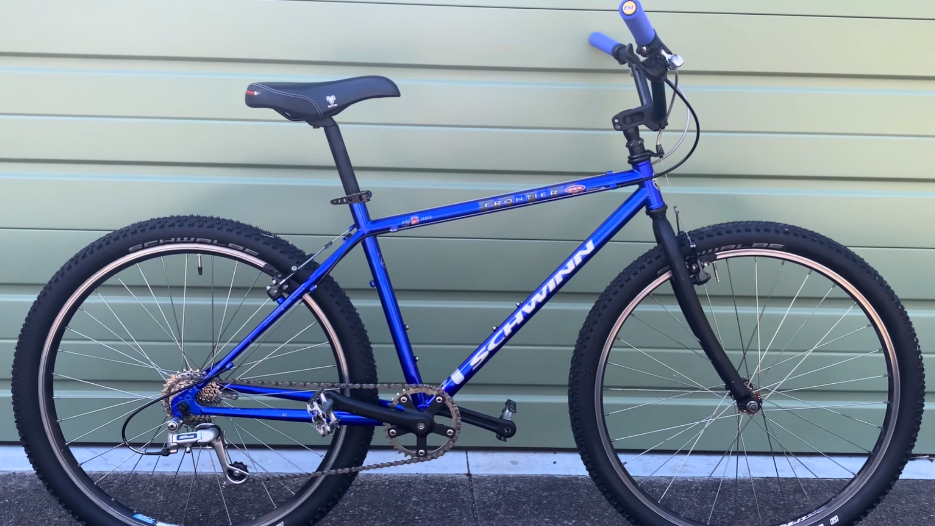 Schwinn Homegrown Bmx