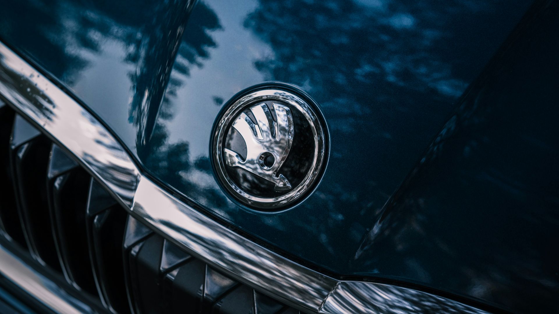 a close up of the front of a car