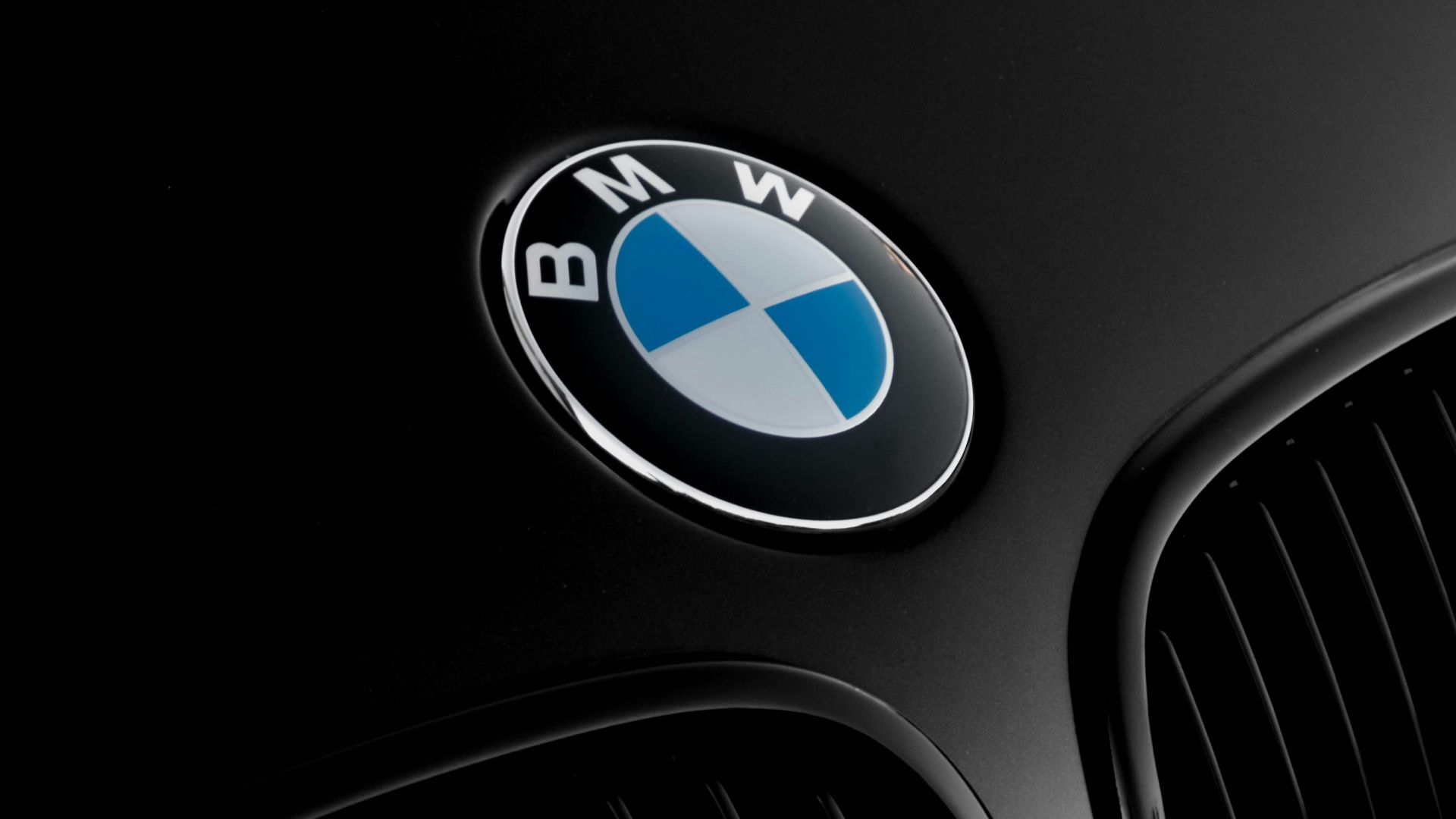 BMW logo