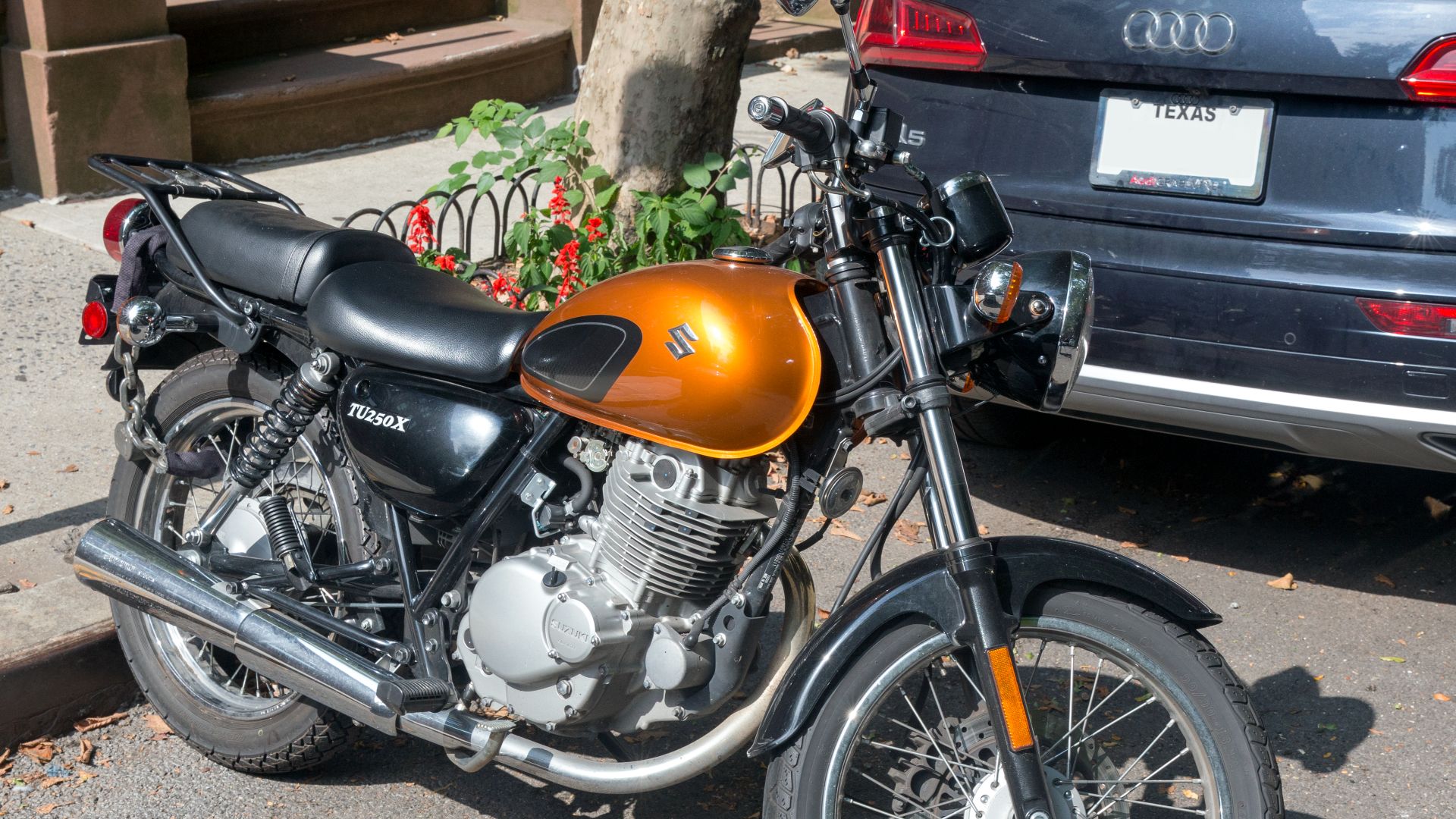 File:2016 Suzuki TU250X, Upper West Side.jpg