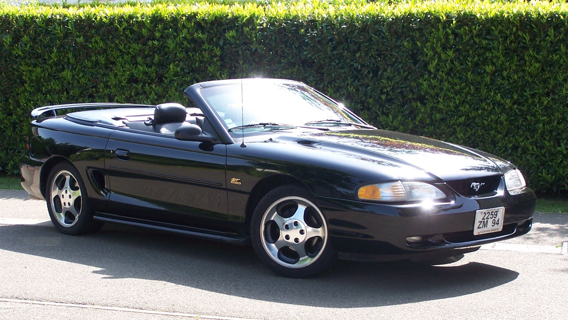 File:Mustang SN95 - 1995.JPG