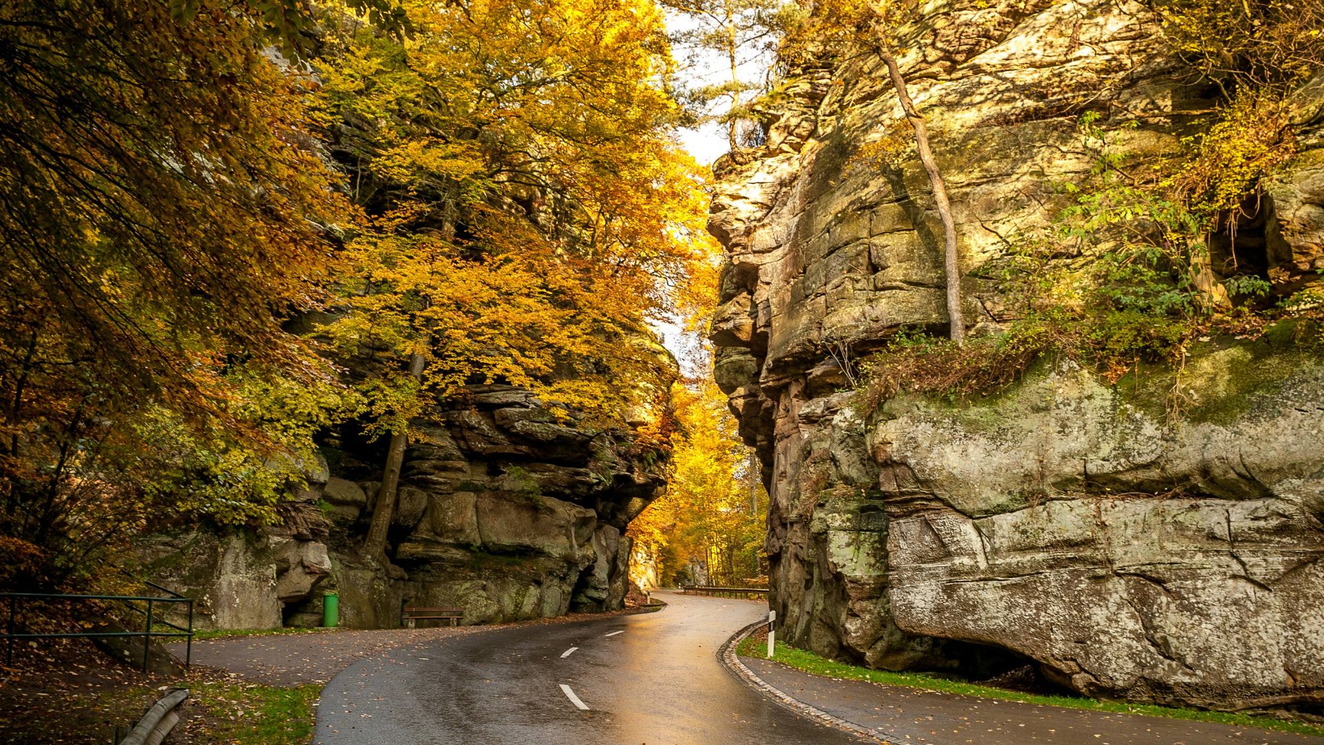 curved pathway near cliffs