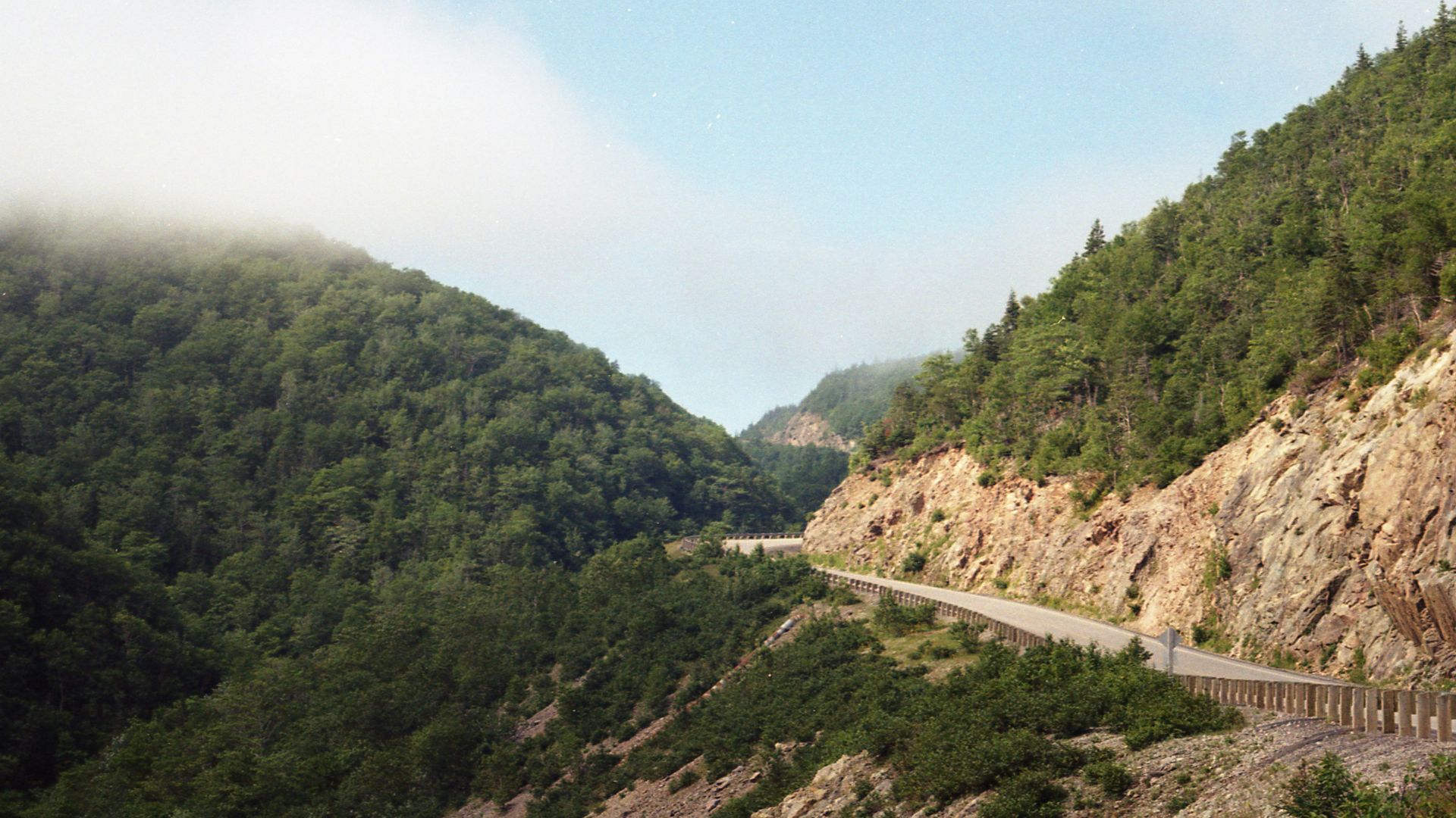 green trees on mountain during daytime