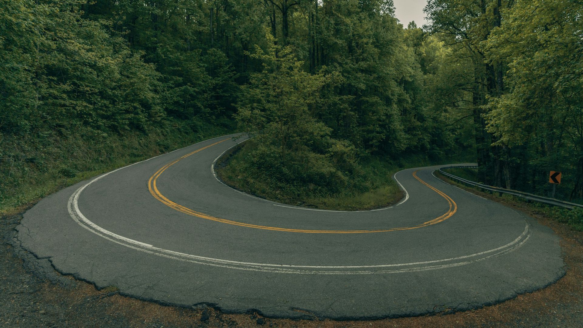 gray asphalt road in between green trees during daytime