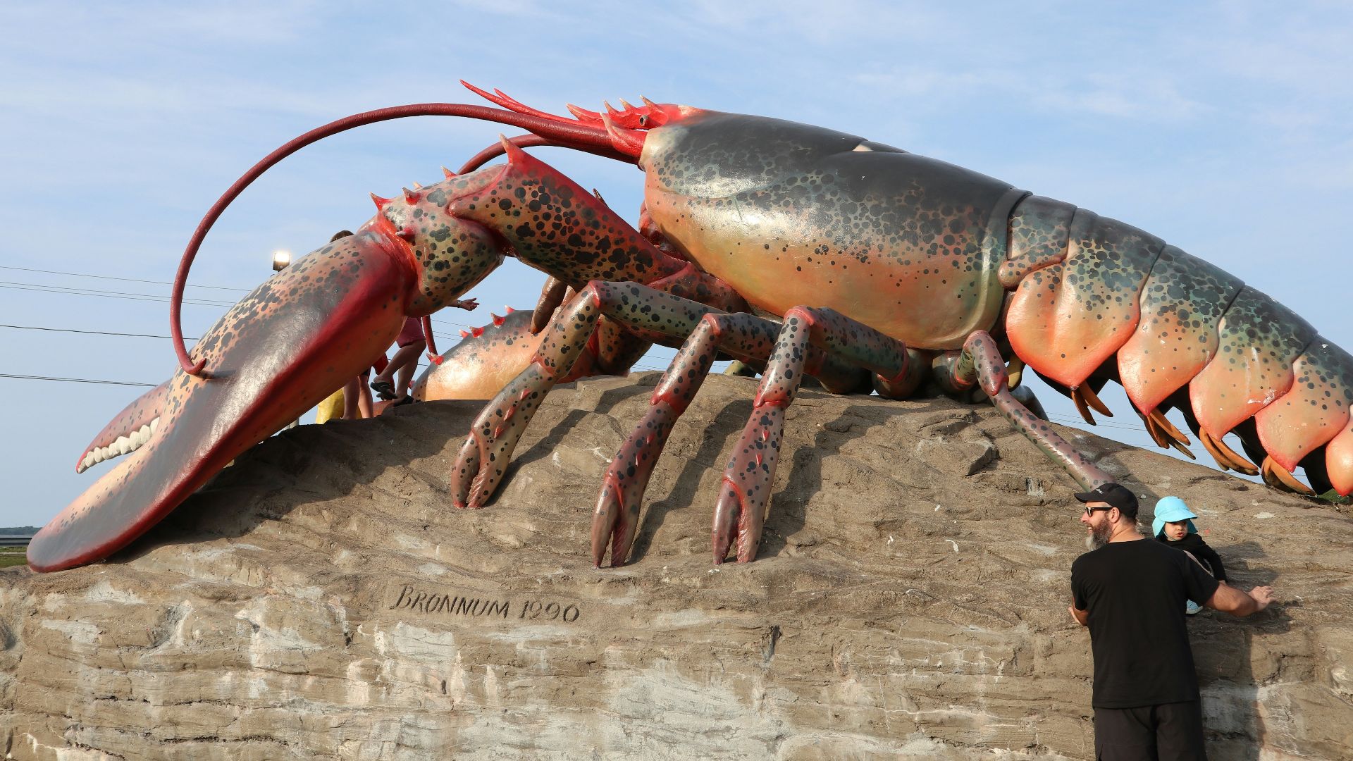 red lobster on brown rock