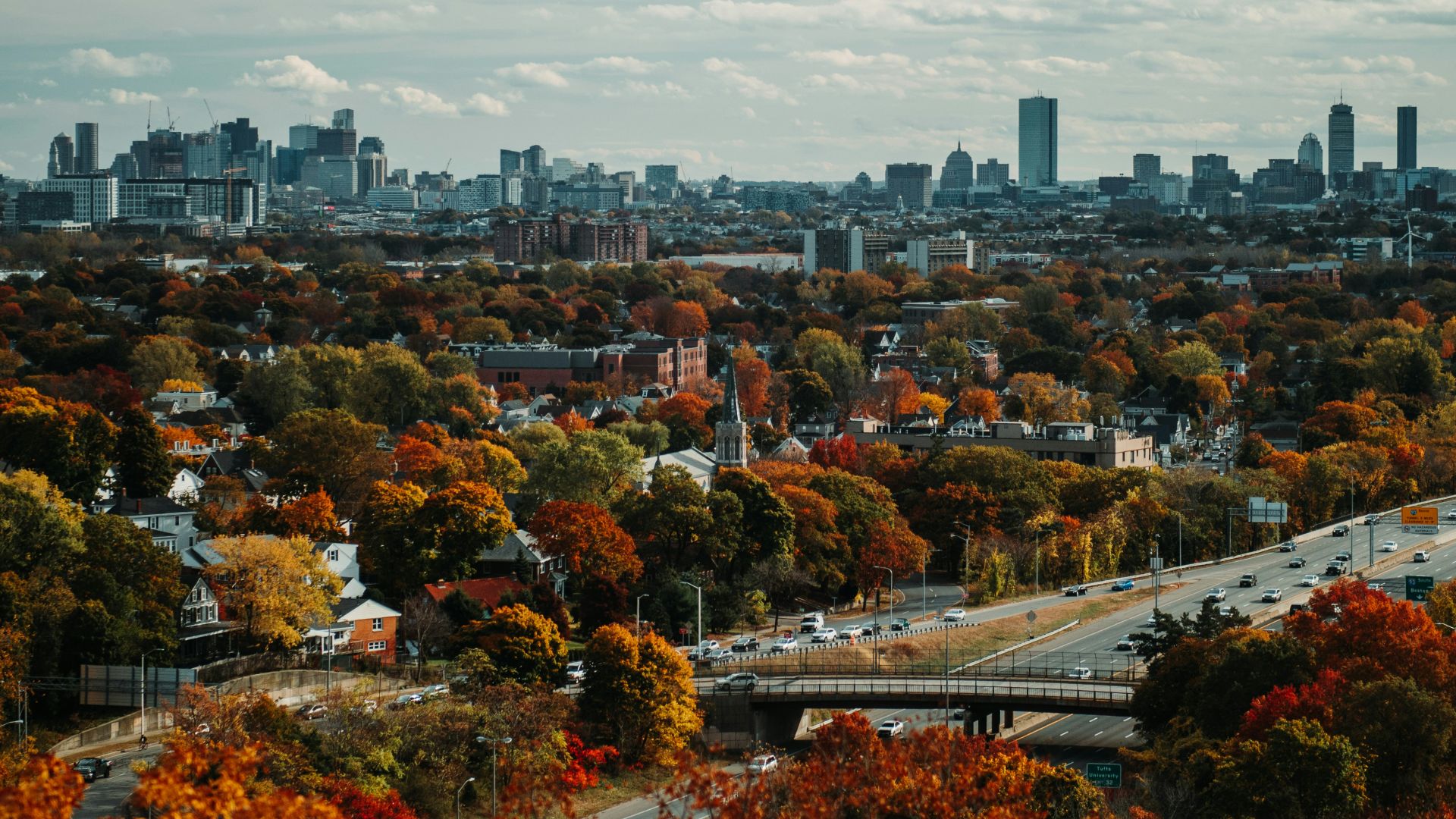 aerial photography of trees and buildings in the city