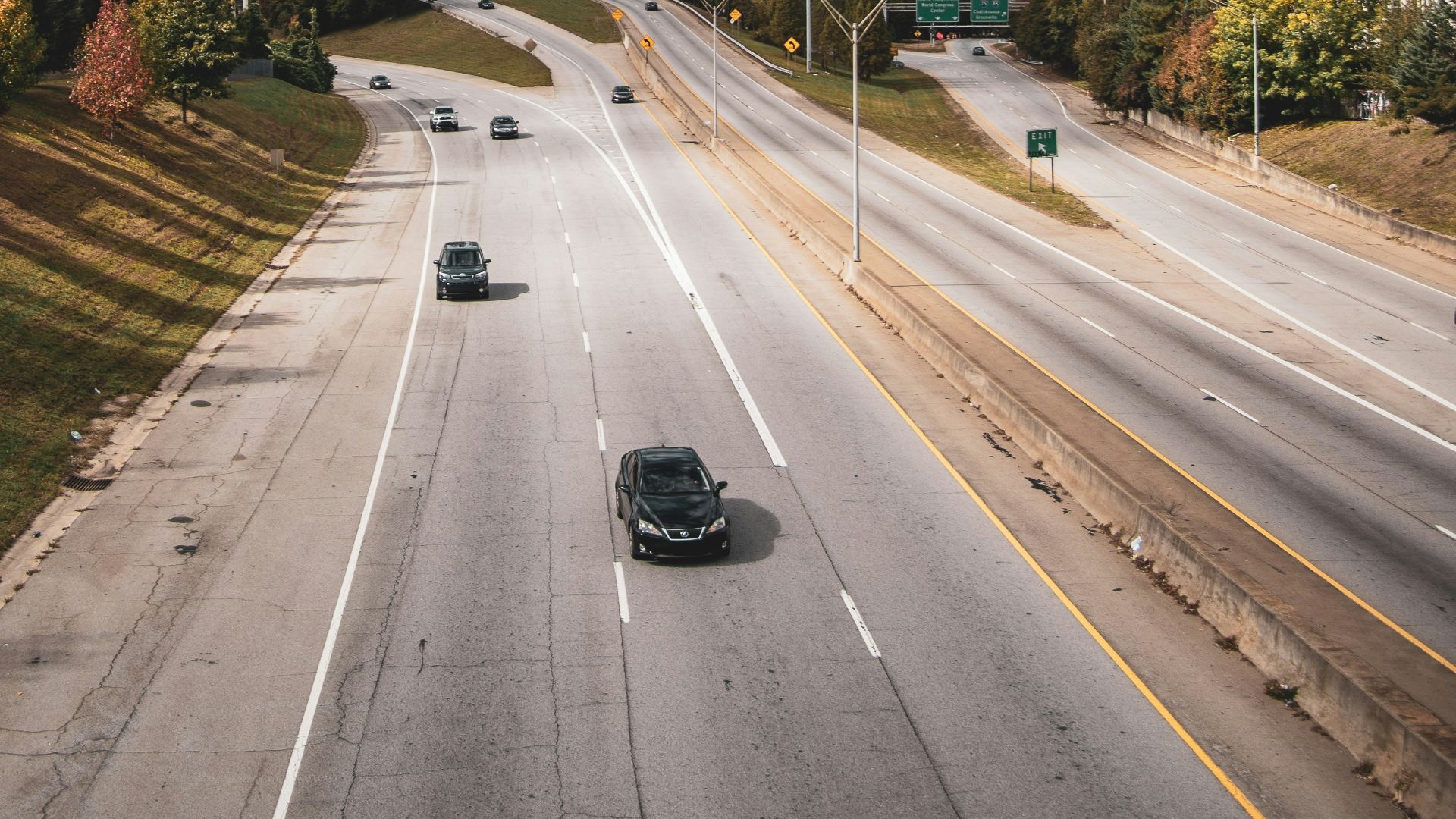 cars passing near green trees away from city building