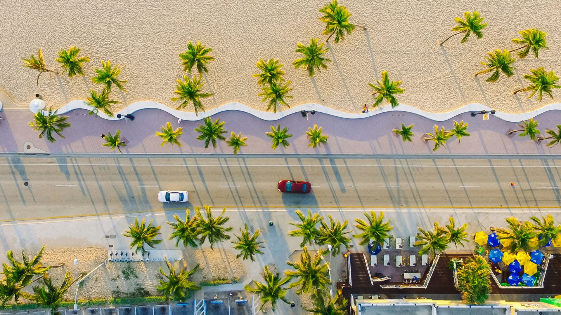 high-angle photography of two red and white vehicles on concrete road between trees and buildings at daytime