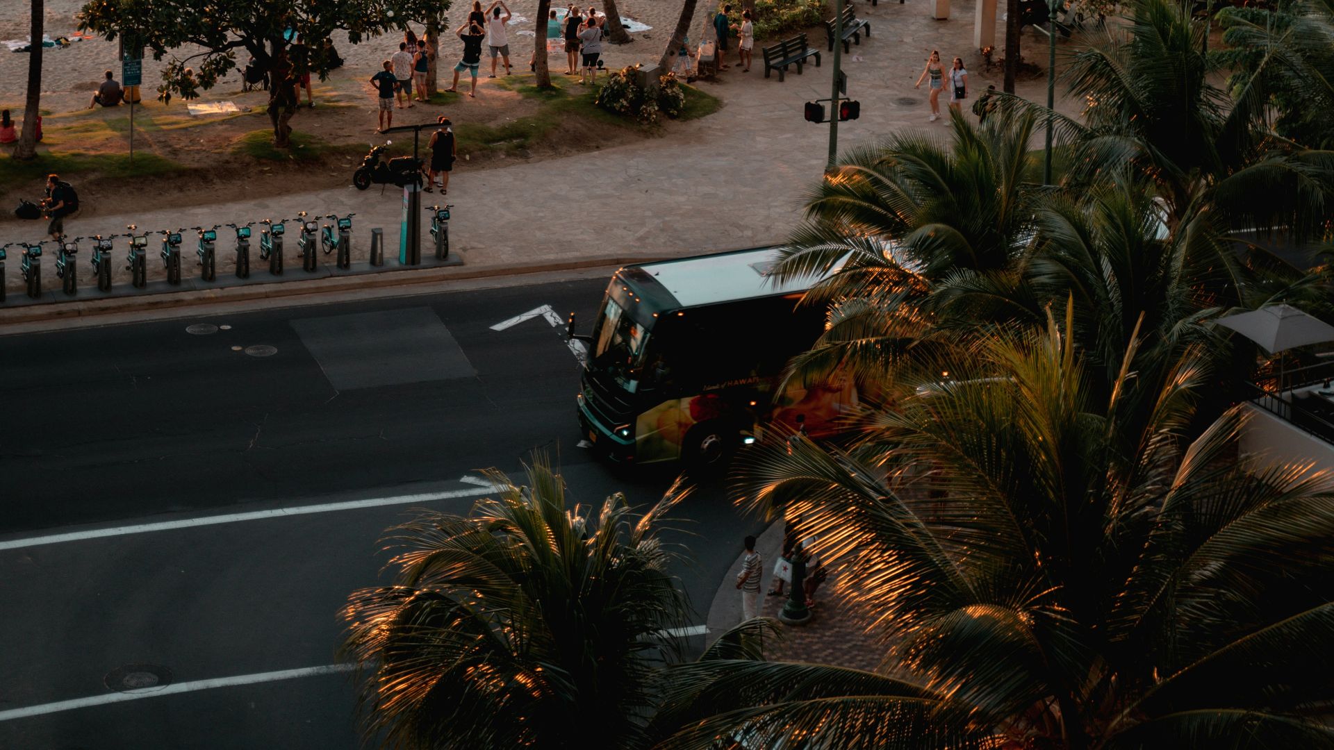 people on shore by coconut trees at daytime