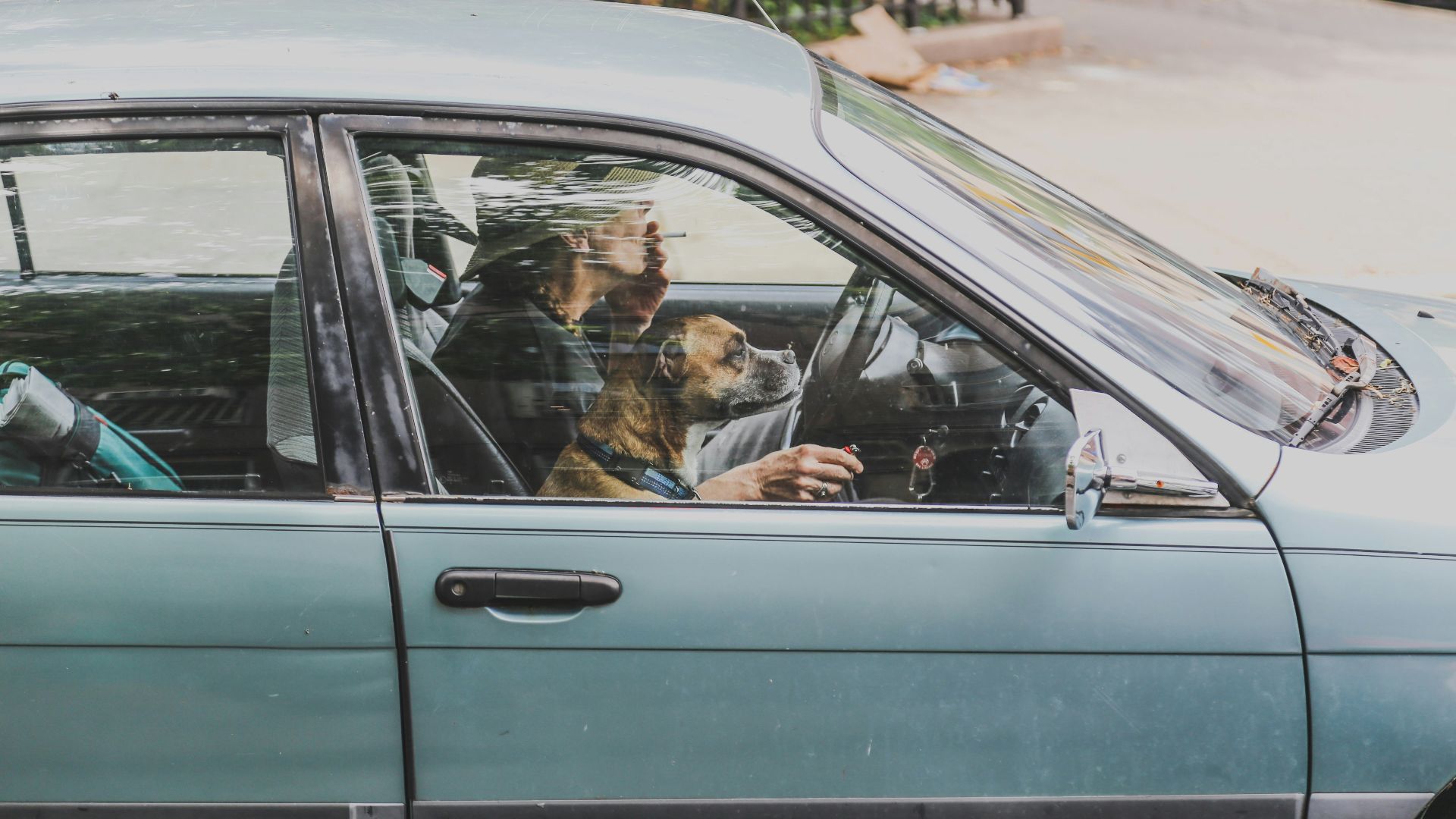 person driving a car