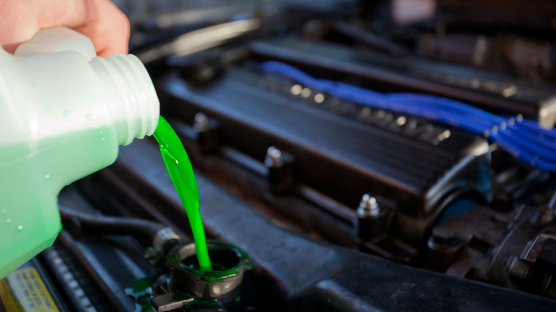 File:Engine coolant.jpg