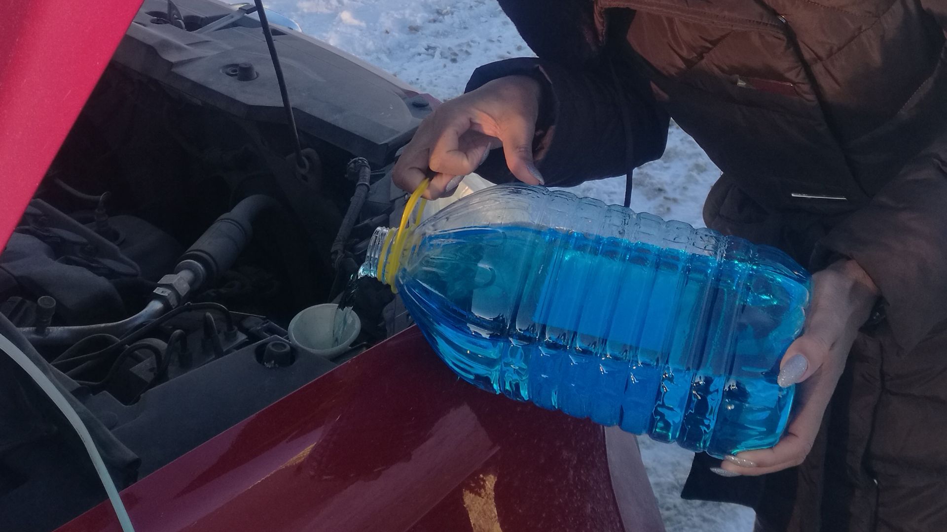 File:Virino enverŝas en aŭton neglaciiĝan likvaĵon.jpg