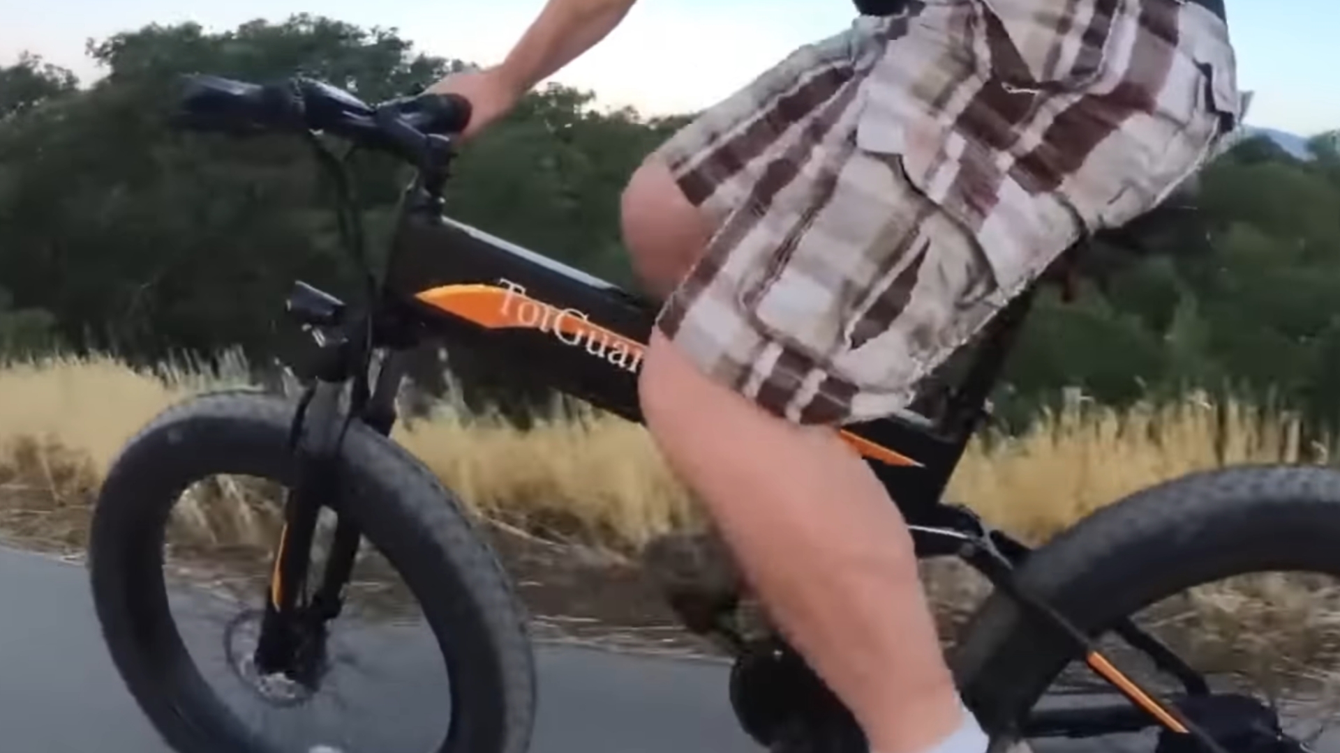 Totguard Electric Bike