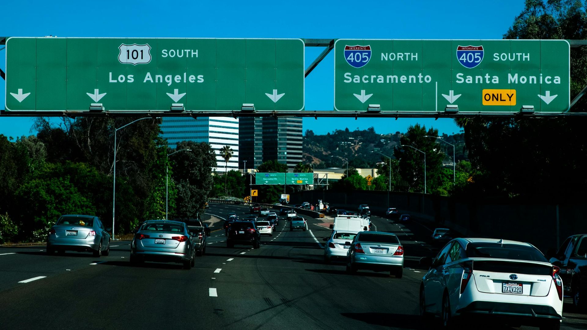 Ekaterina Belinskaya