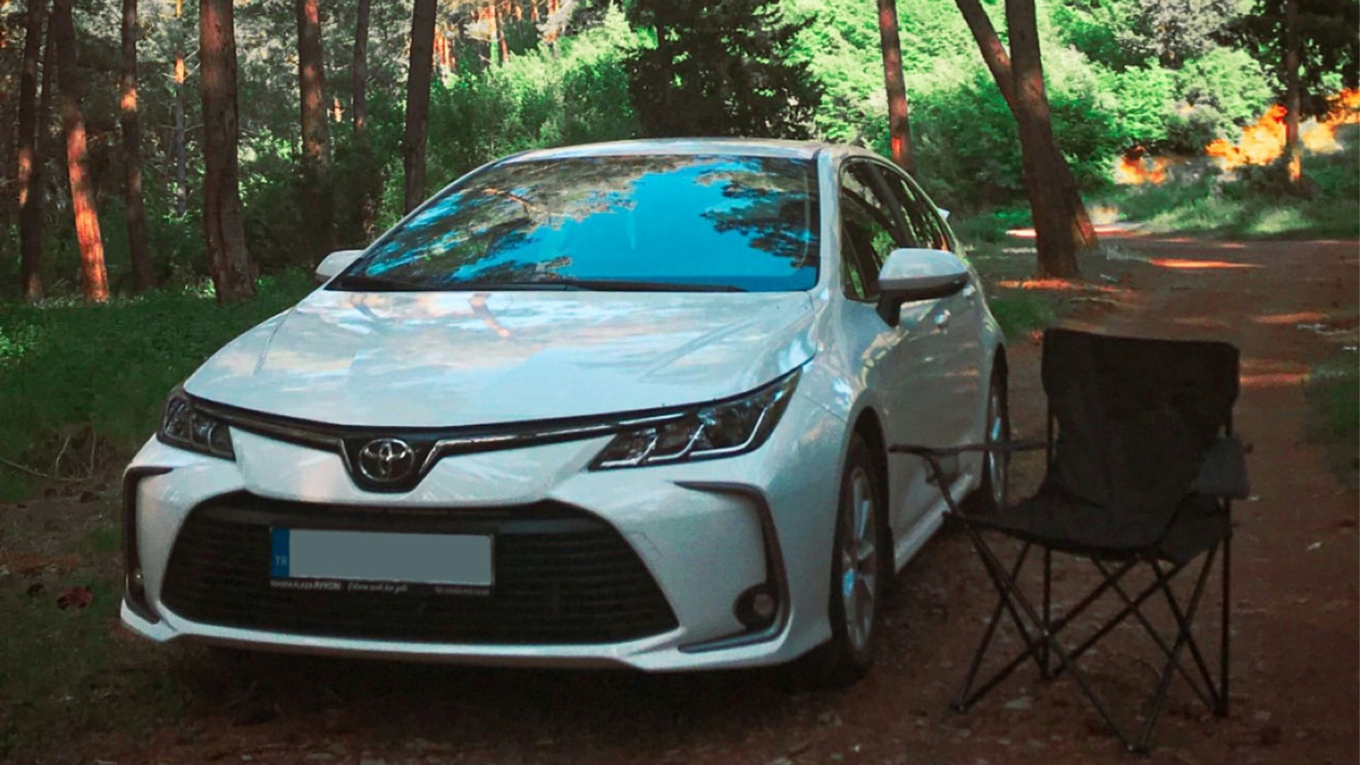 white bmw car parked near trees during daytime