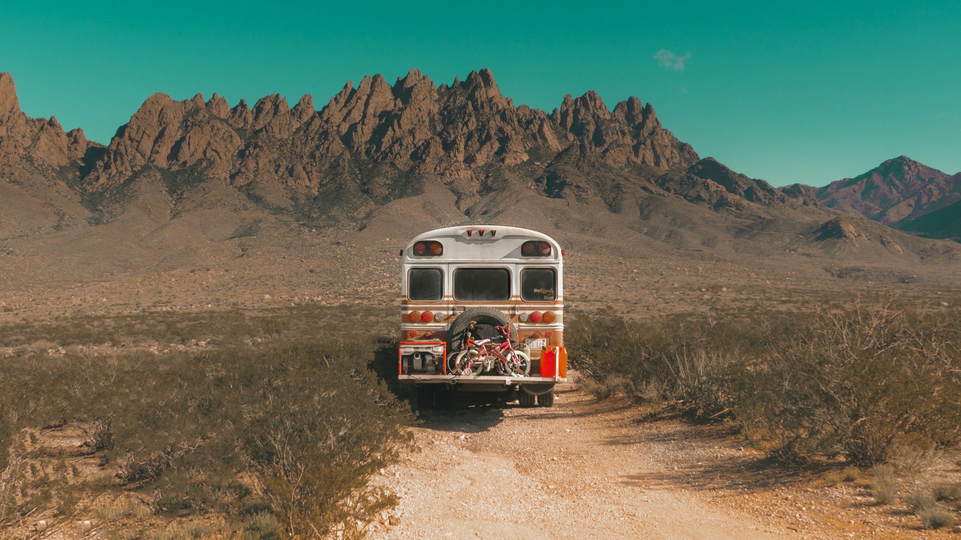 white and red bus near mountain