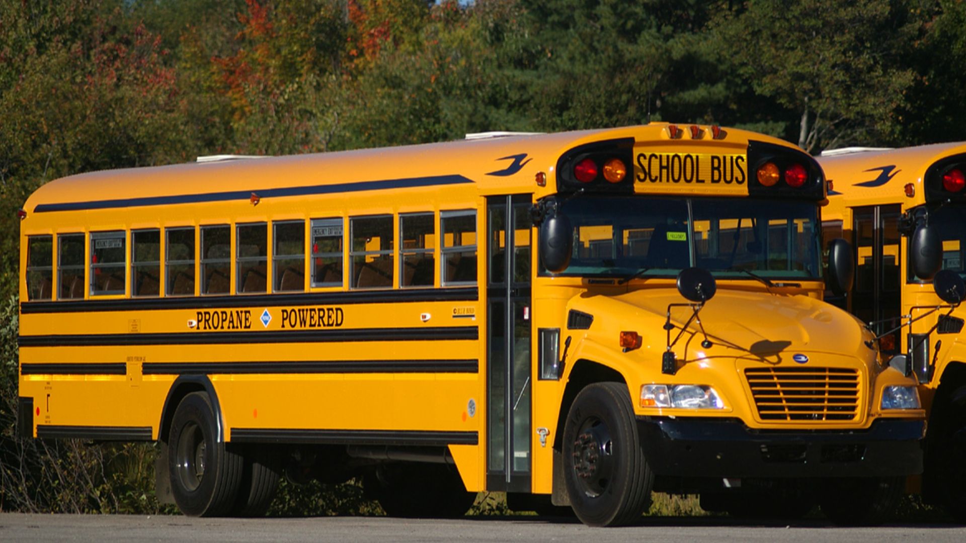 File:Propane powered blue bird vision.jpg