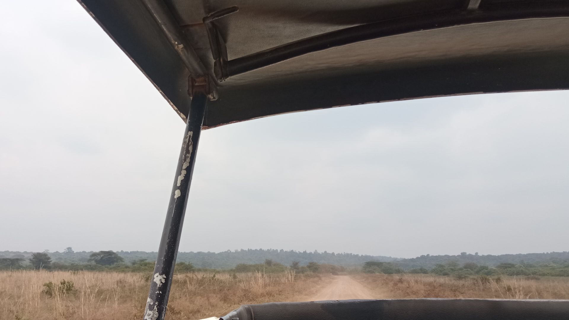 File:Nairobi National Park, Kenya (22647).jpg