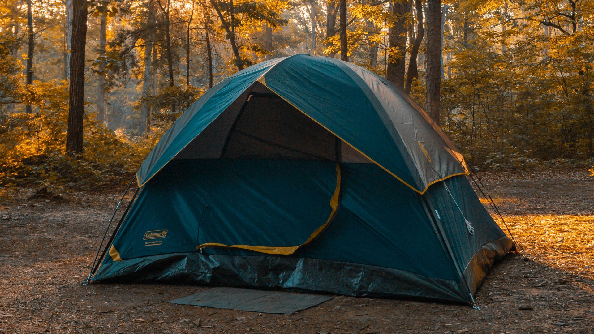 blue and orange dome tent in forest during daytime