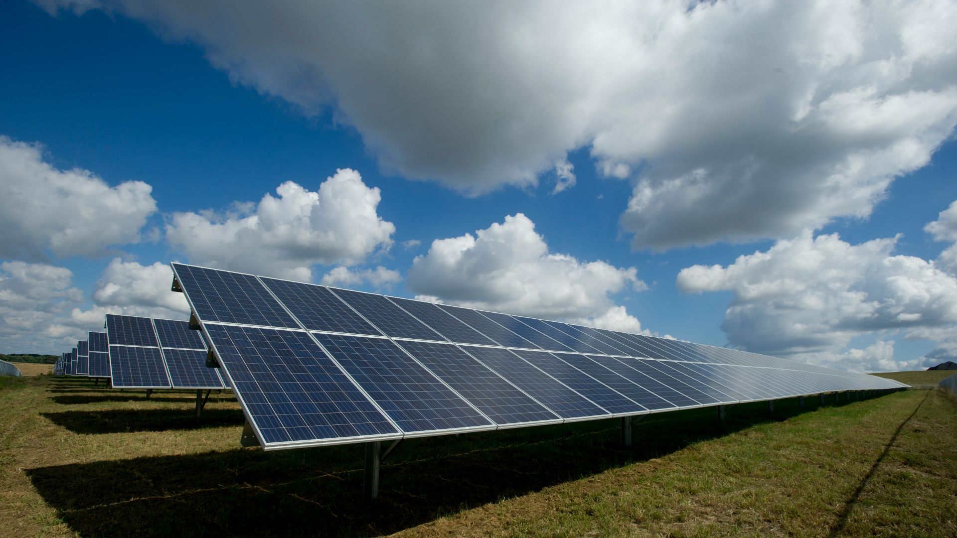 solar panels on green field