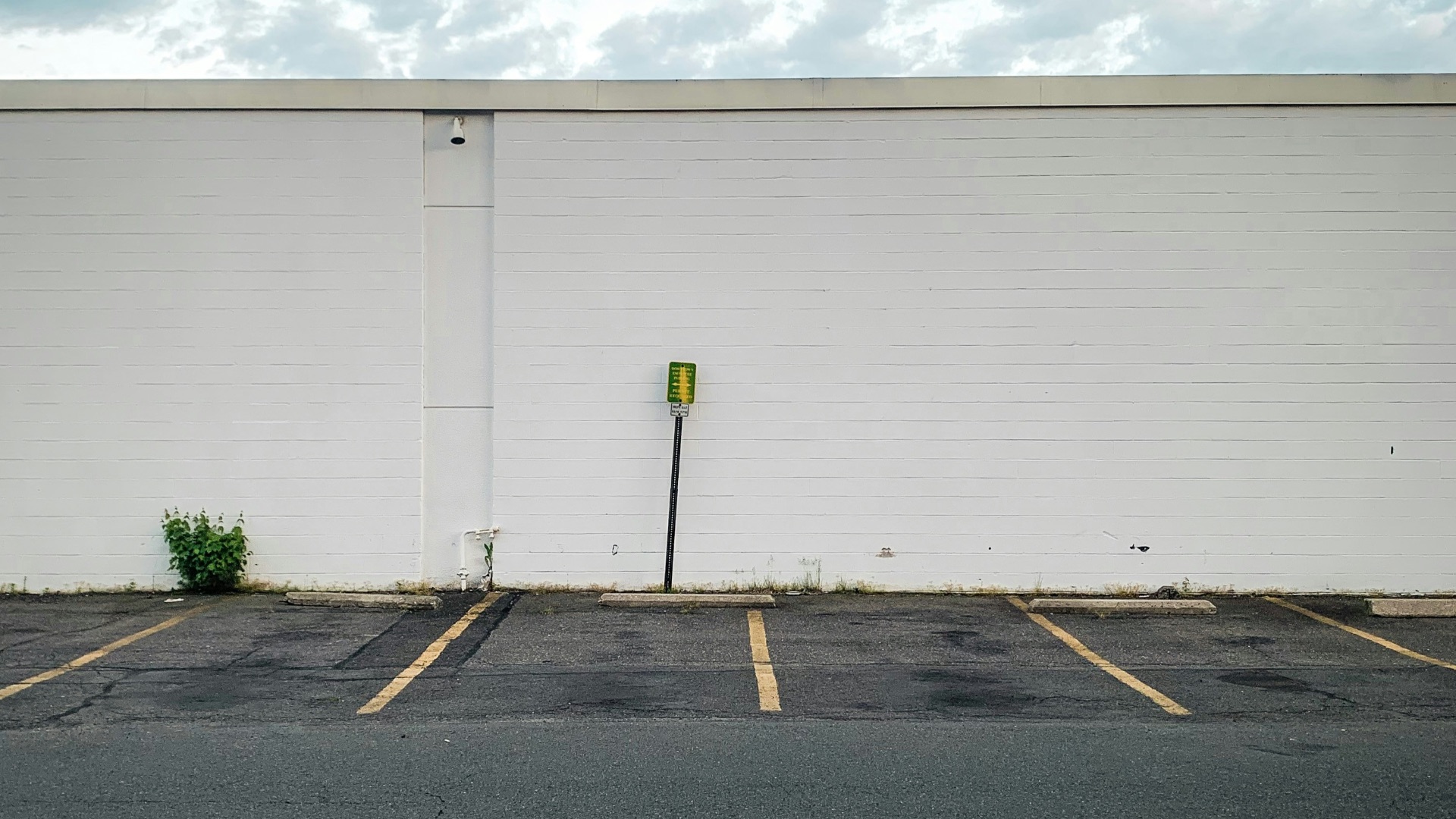 white garage door near green plants