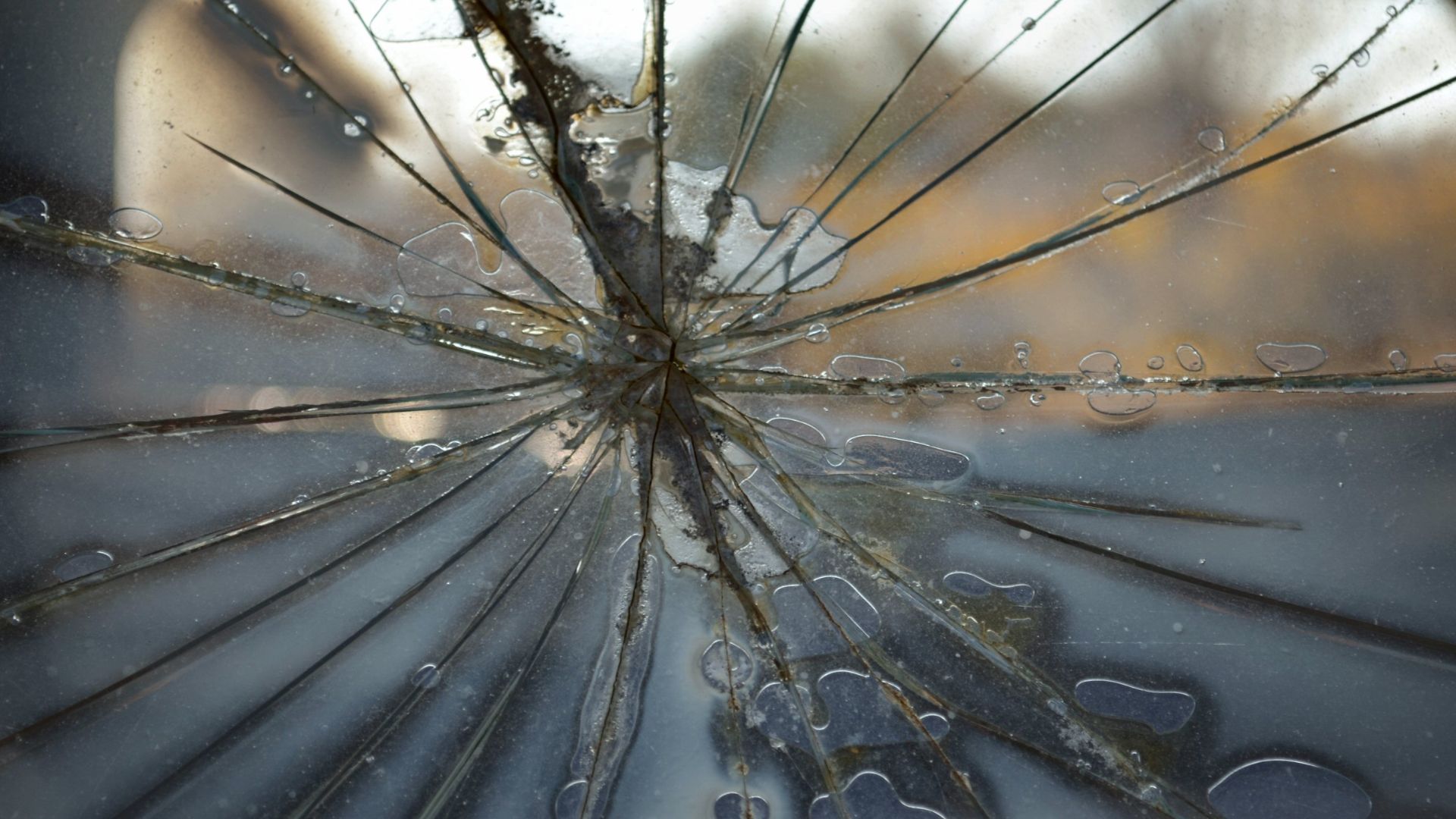 File:Cracked windshield (6295402403).jpg