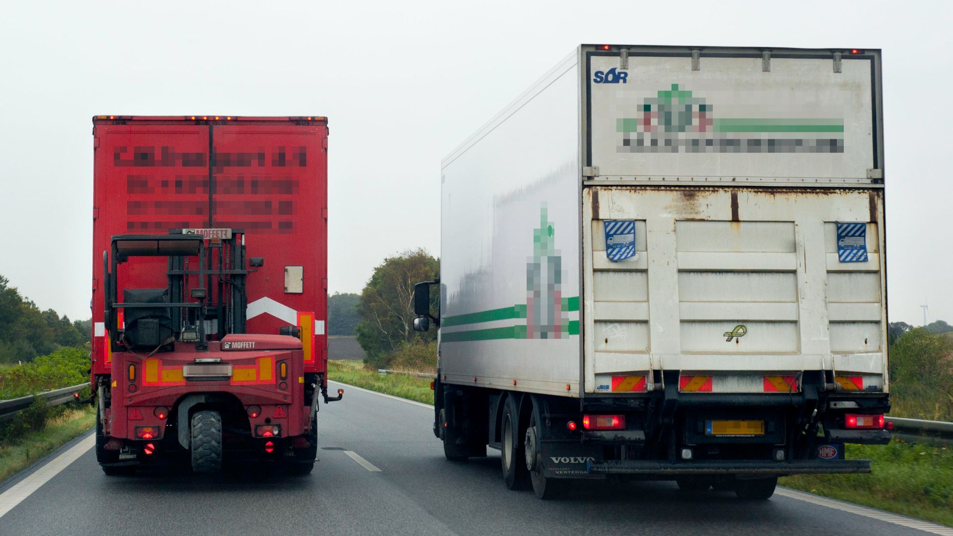 File:Elephant race in Denmark.jpg