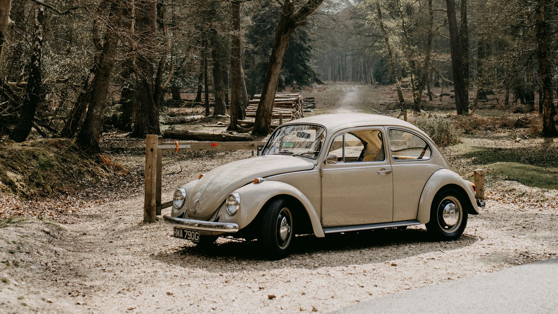 gray sedan on dirt road near bare trees during daytime