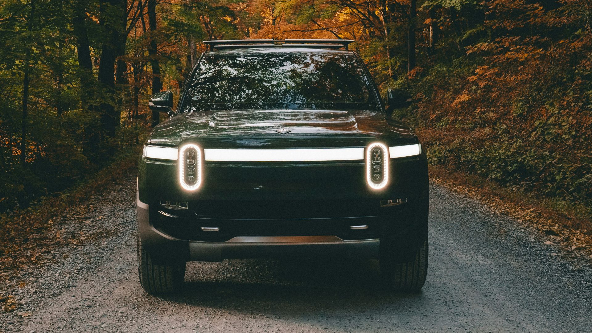 a car on a dirt road surrounded by trees